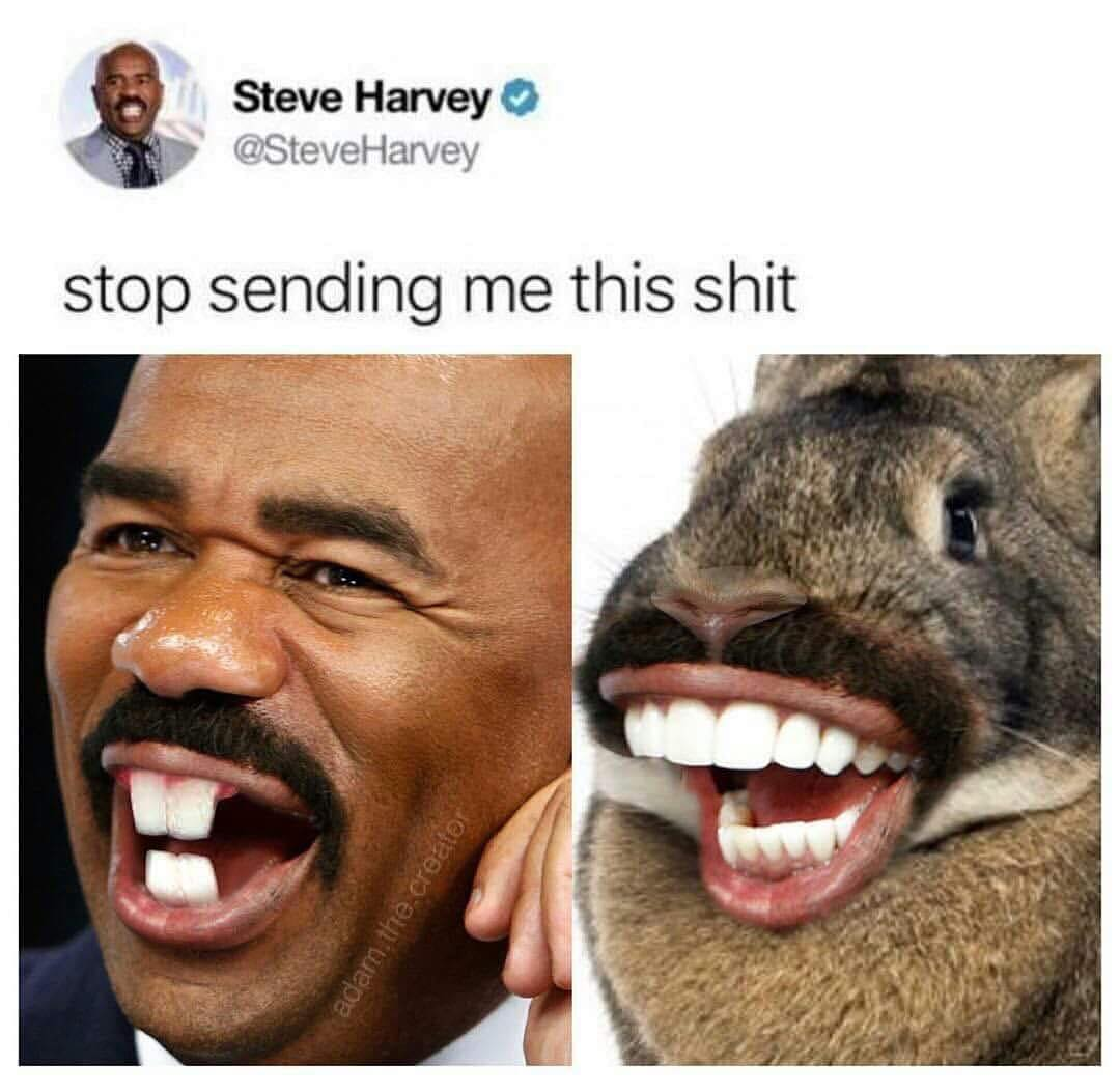 Why not - Steve Harvey, Reddit, Photoshop master