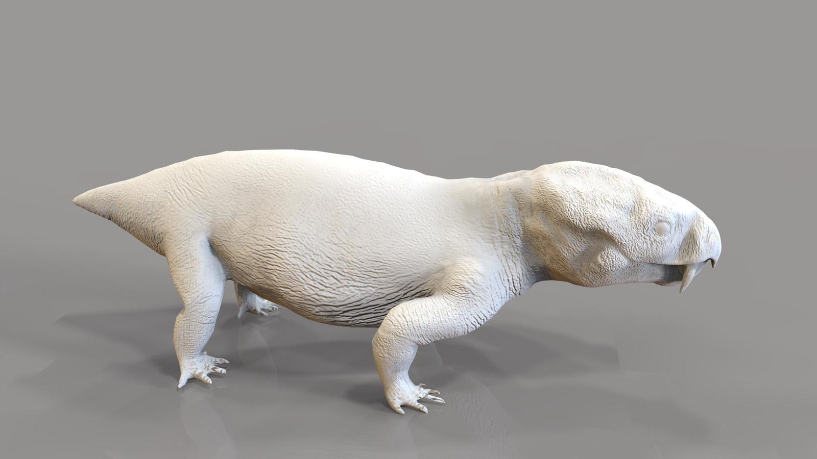 Diictodon - My, Zbrush, 3DS max, Photomanipulation, Permian period, Prehistoric animals