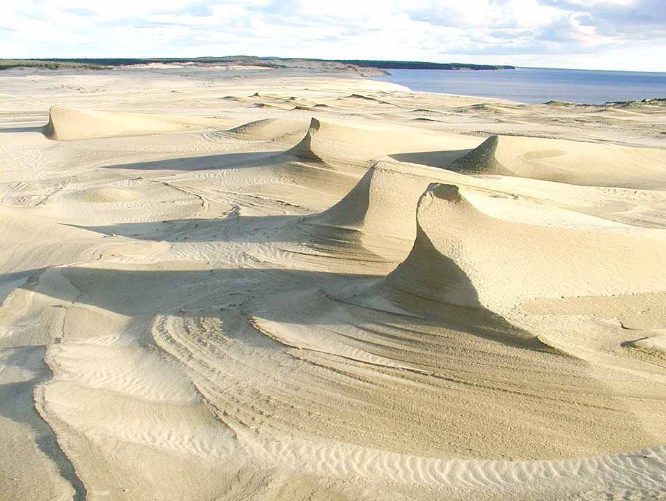 Curonian spit. - Curonian Spit, Kaliningrad region, Nature, The nature of Russia, Longpost