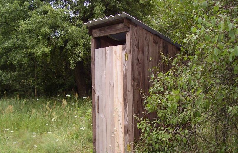 toilets - My, Village, Tree, Age, Toilet, Village, Abandoned