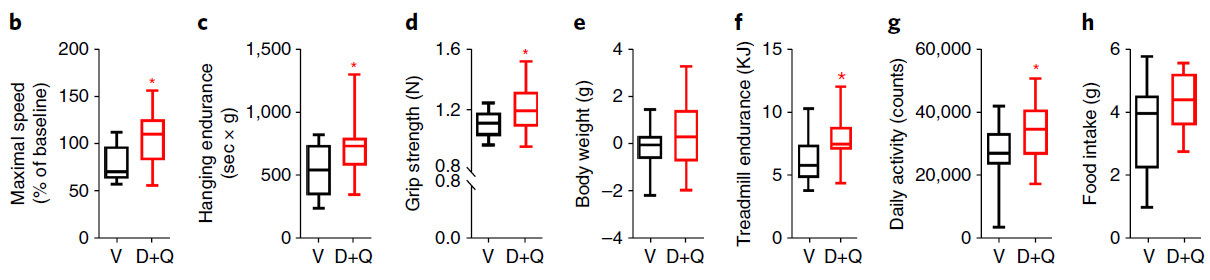 Drugs that destroy old cells have extended the life of mice and are beginning to be tested in humans - The science, The medicine, Aging, Copy-paste, Elementy ru, Longpost