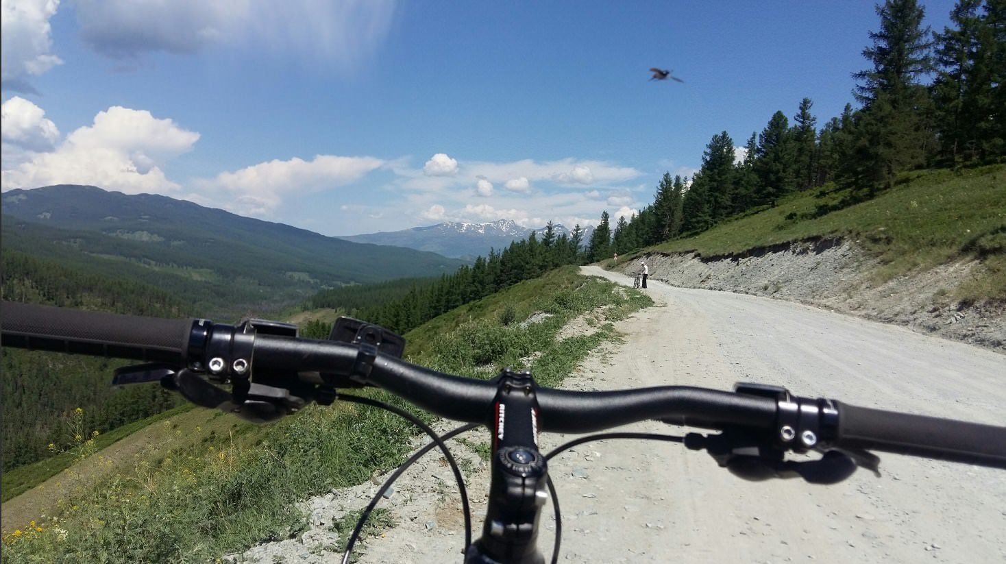 My first light bike trip in Altai. - My, A bike, Novosibirsk, Mountain Altai, Travelers, Longpost, Barnaul, Altai Republic