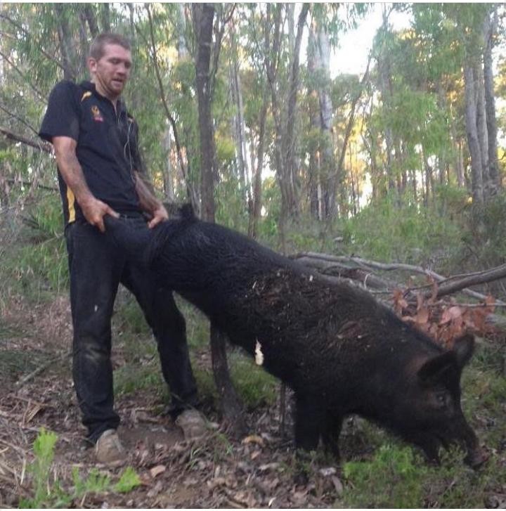 Petrovich in search of truffles. - Fmx, Instagram