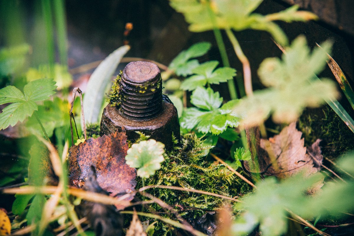 The life of an abandoned railroad... - My, Snail, Railway, Cast, A life, Rails, Longpost