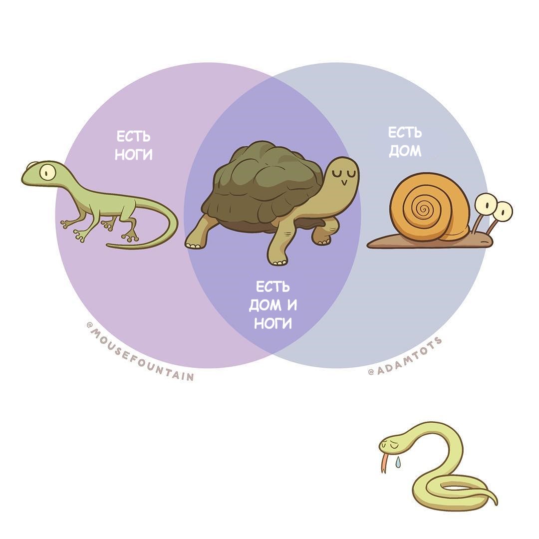 unfortunate snake - Adam ellis, House, Animals, Lizard, Snail, Turtle, Snake