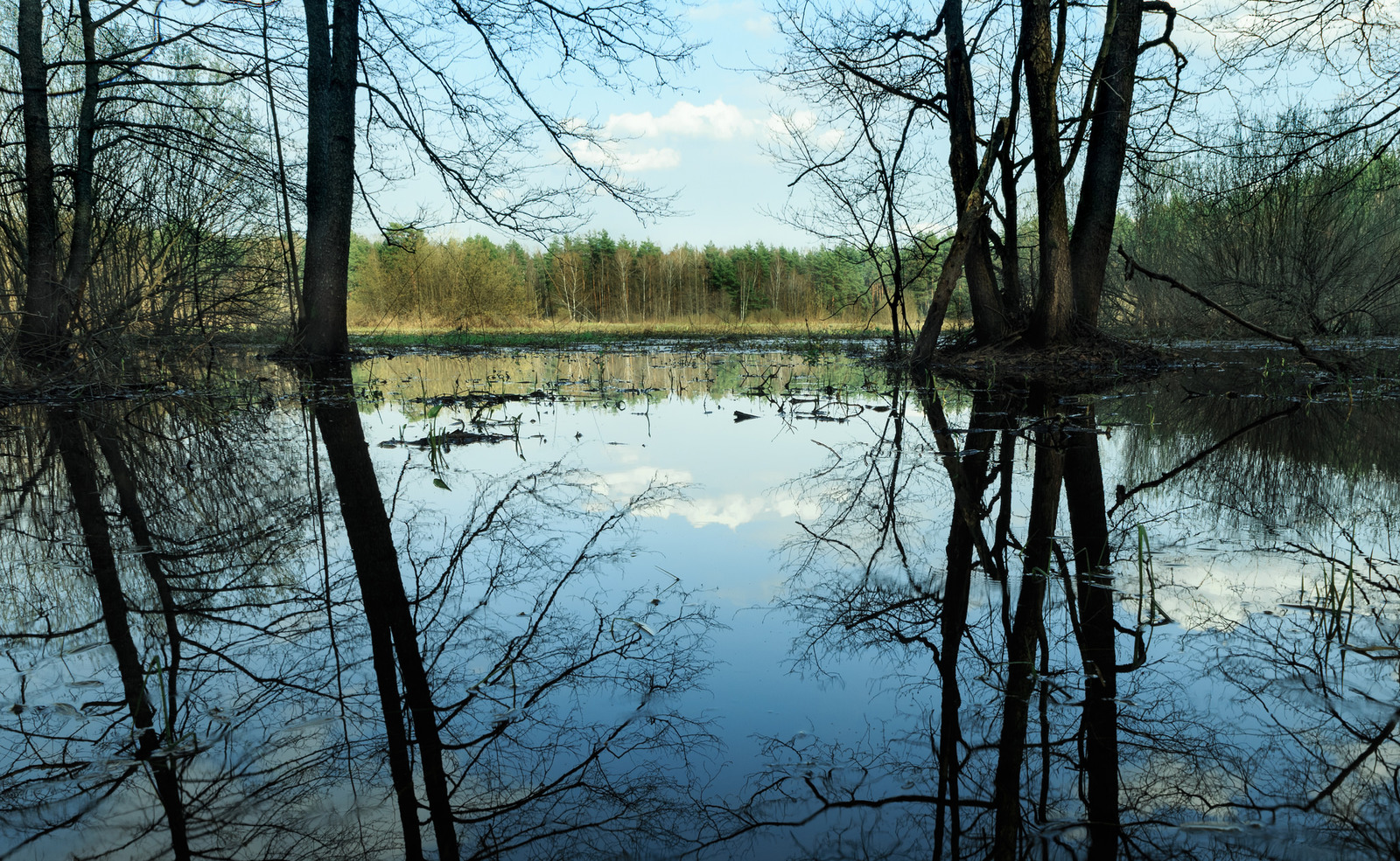 High water - My, High water, Spring, Подмосковье, Flood