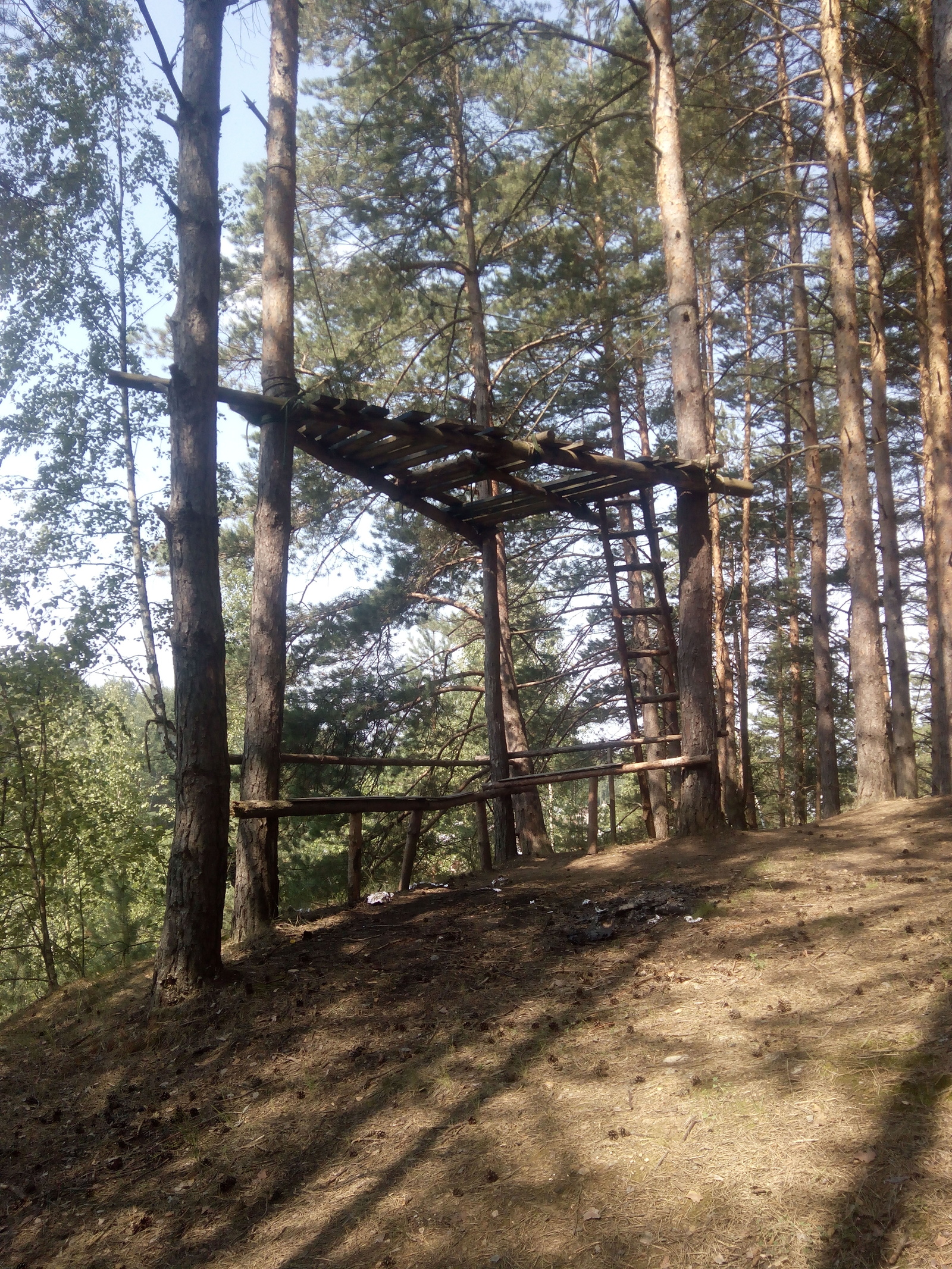 Walking through the forest, I found just such a design in the forest. I wonder what it's for? - My, Thing, , Forest, House in the woods, Wooden construction, Longpost