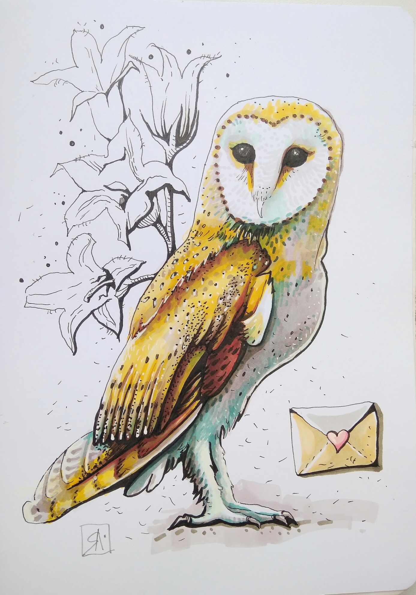 Barn owl. Hoggwarts postal owl. - My, Owl, Barn owl, Hogwarts, Birds, Marker, Drawing, Sketch, Sketchbook, Longpost