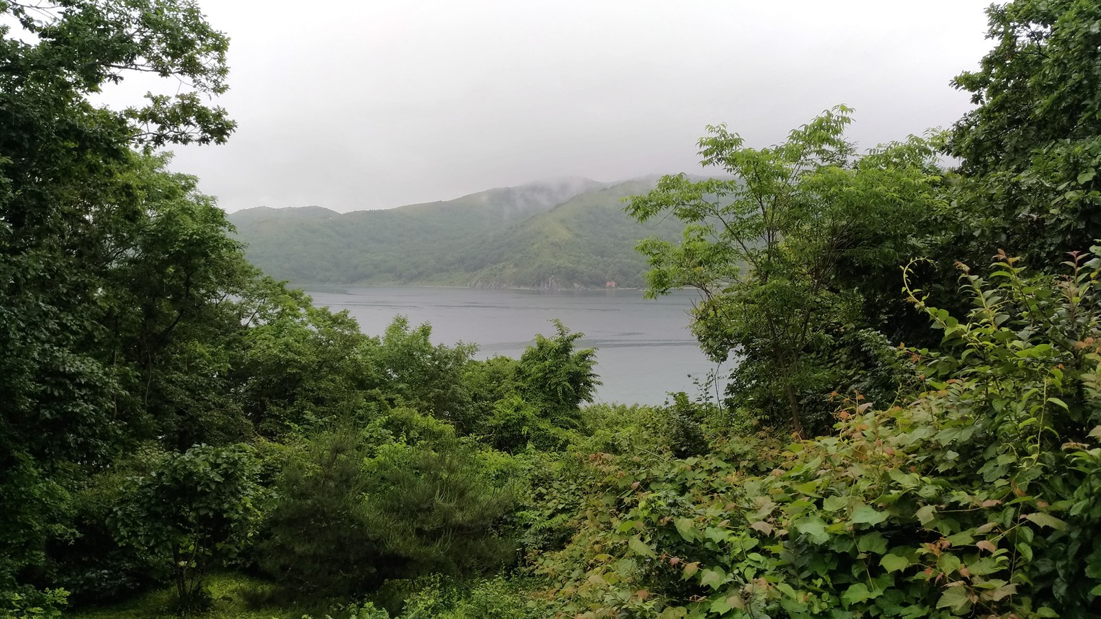 Far Eastern Marine Reserve. Walk along the Bay of Salvation. - My, My, The photo, Sea, Primorsky Krai, Marine Sanctuary, Gulf of Peter the Great, Longpost, Дальний Восток