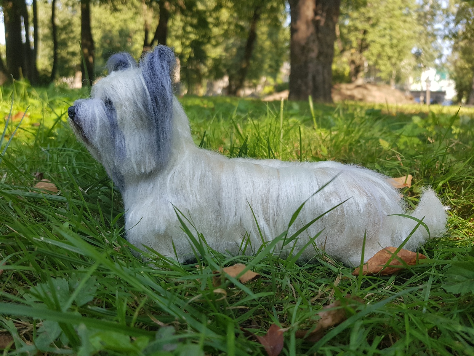 Skye Terrier. Dry felting.Author: Maria Sherstobitova. - My, Dry felting, Dog, Handmade, Longpost