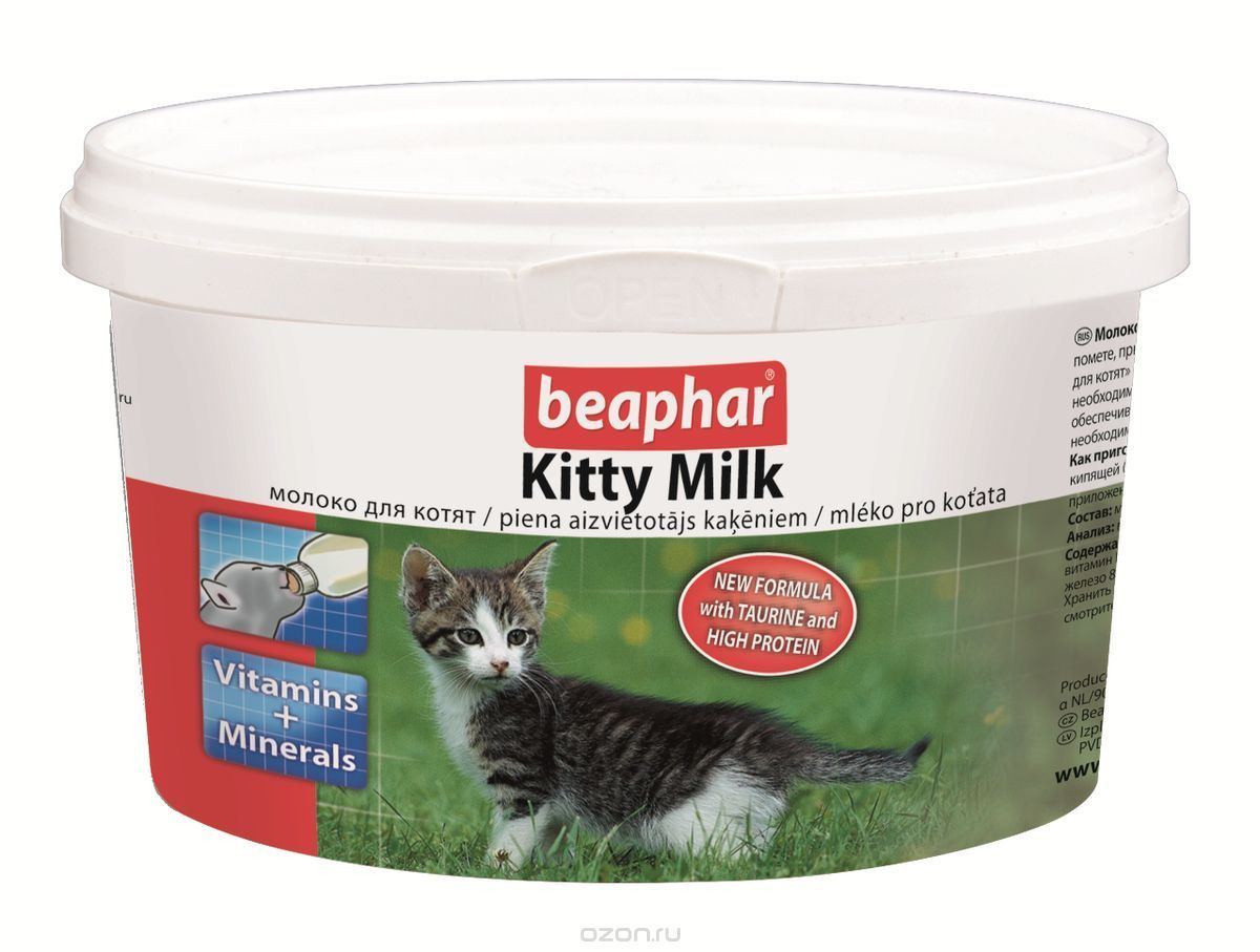 How to feed a kitten - My, cat, Kittens, Catomafia, Animal feed, Feeding, Longpost