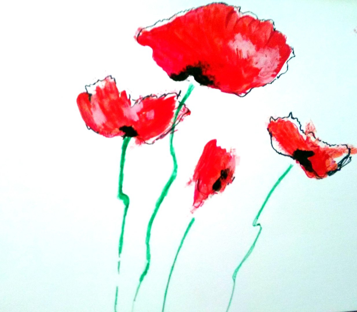 my poppies) - My, Flowers, Drawing, Poppy