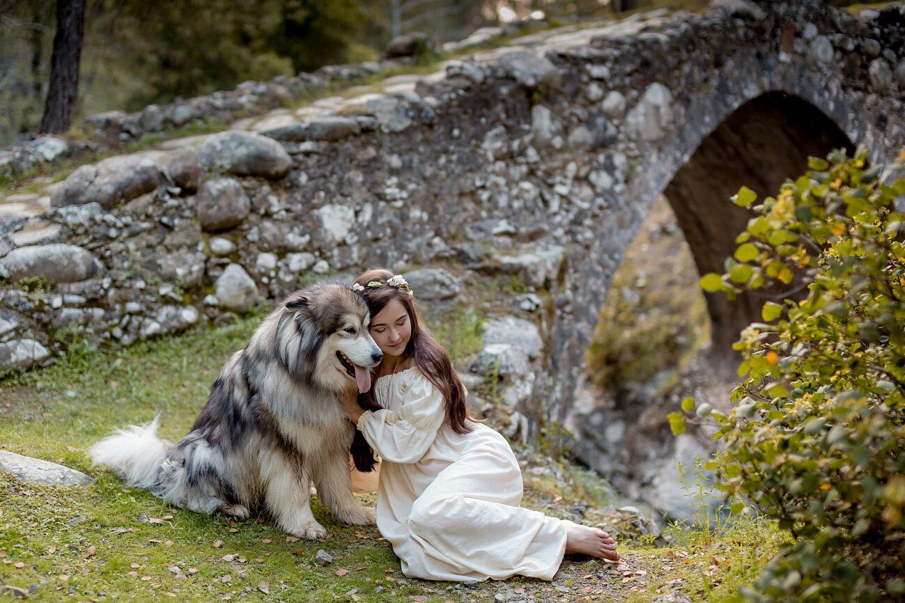 How Zolotinka flew to Cyprus. - My, Longpost, Dog, Flight, Travels, Animals, Text, The photo, Cyprus, Alaskan Malamute, Nature