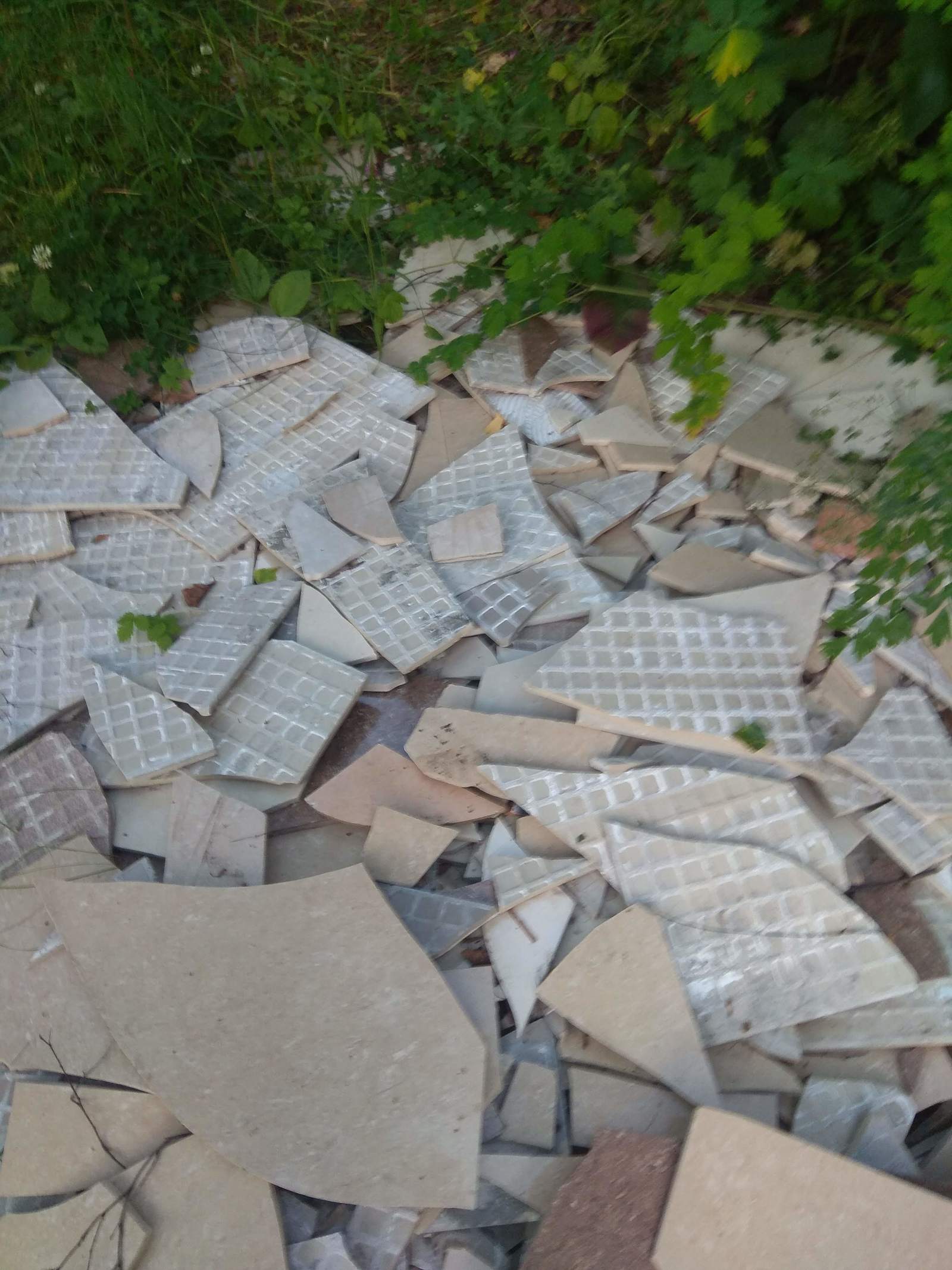 Krasnoyarsk, a pile of tiles was dumped on the ski run. - My, Forest, Ecology, Garbage, Garbage removal, Dump, , Aquarius, Longpost