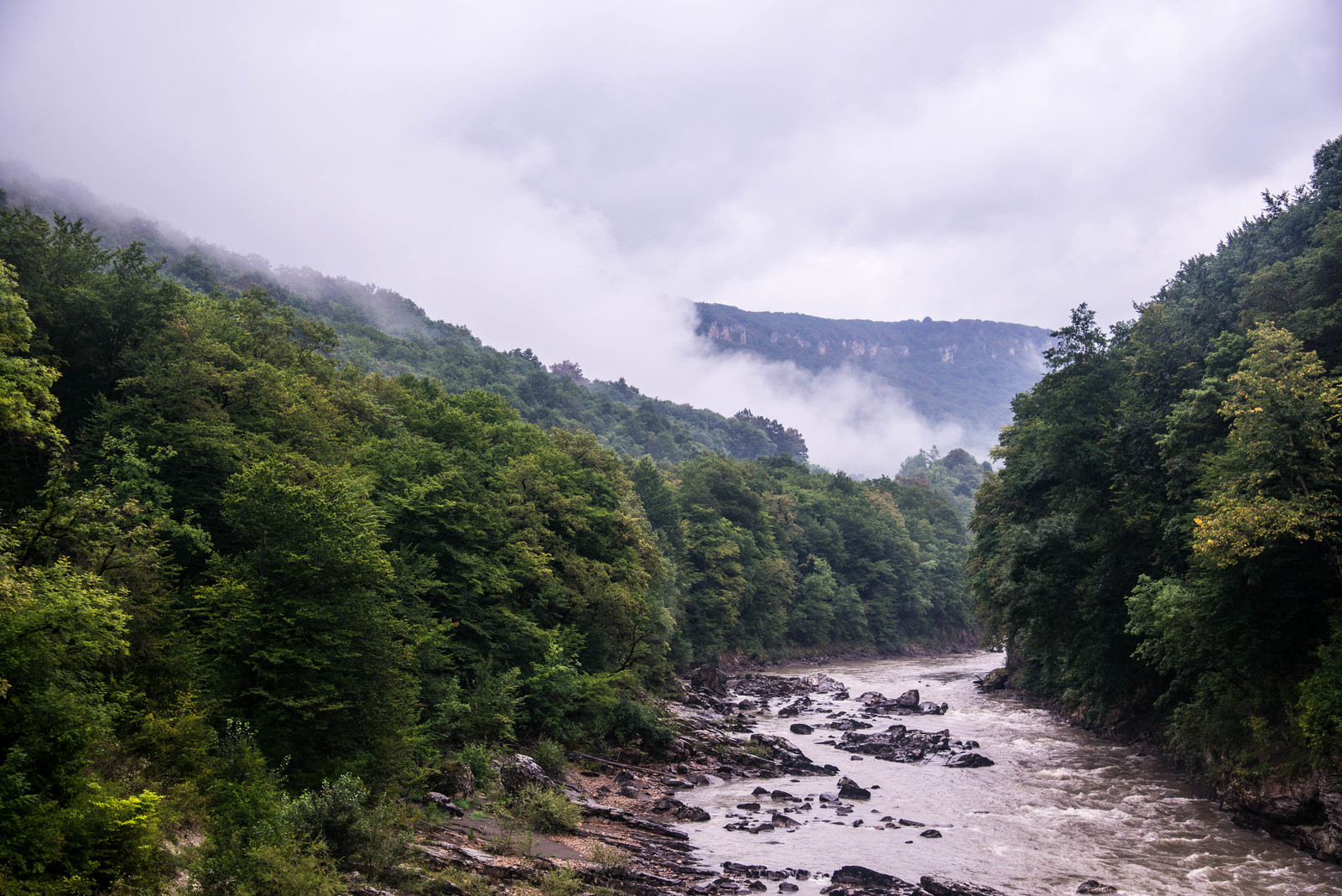 Krasnodar region. Rufabgo - My, River, Forest, The mountains, Clouds, Fog, Summer, Rain