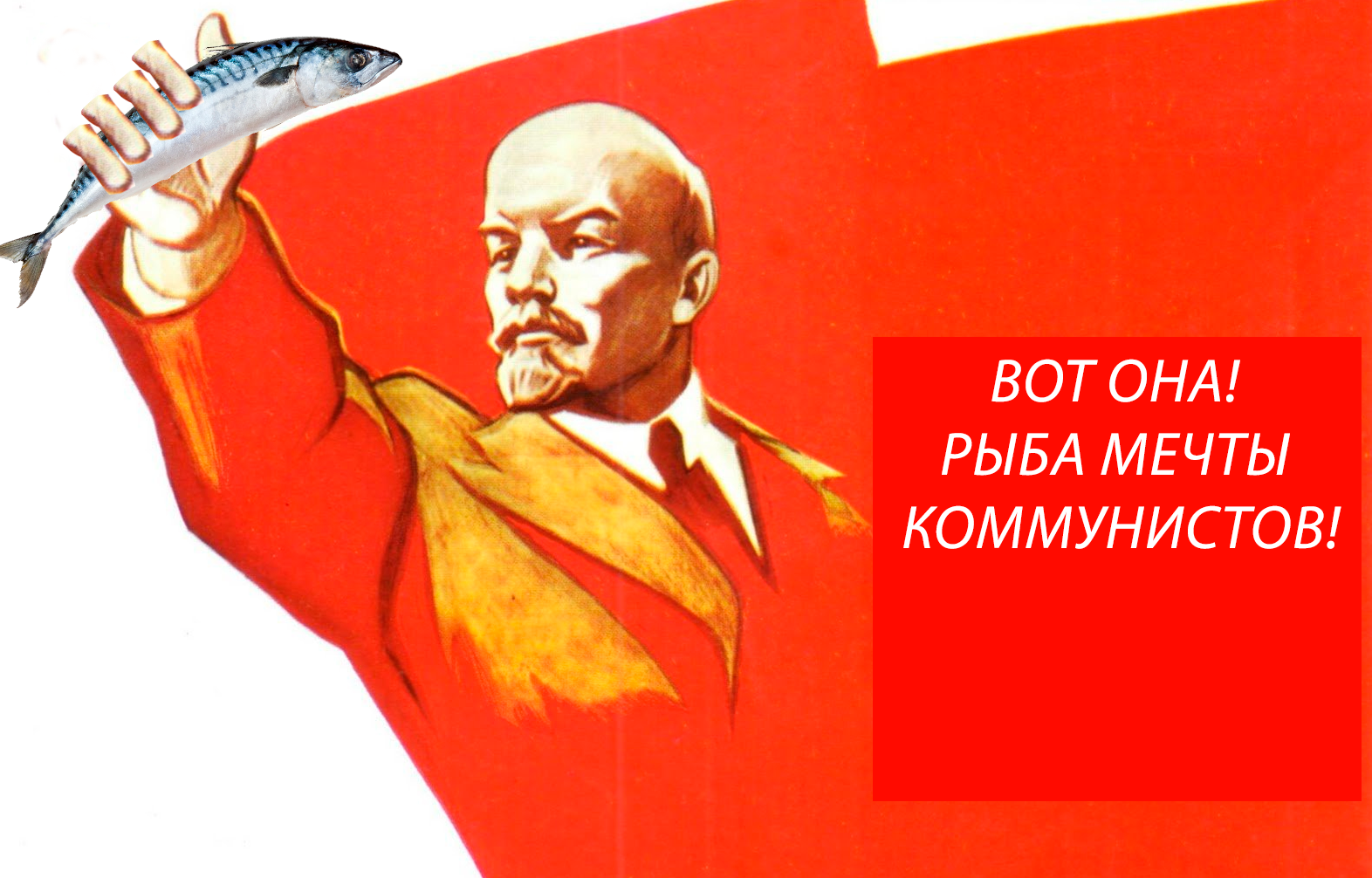 Communists of Russia agitate for mackerel. - Politics, Elections, Communists, Mackerel, Longpost, Ilyich, The photo, Picture with text, Lenin