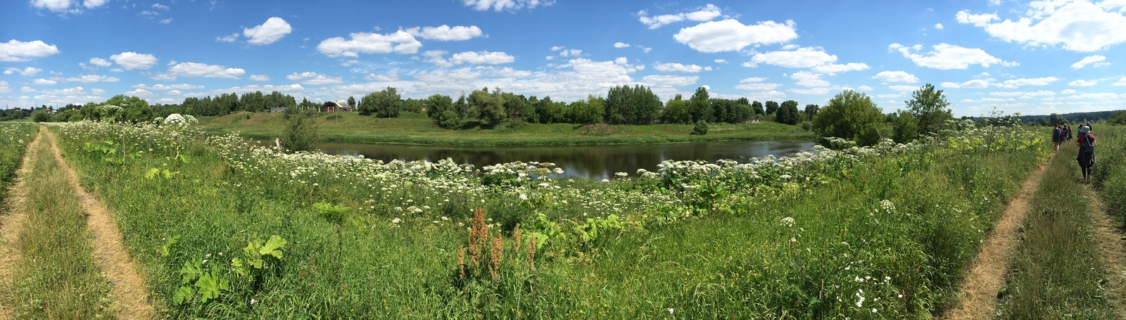 Moscow river - My, Hogweed, , Zvenigorod, Practice, Longpost