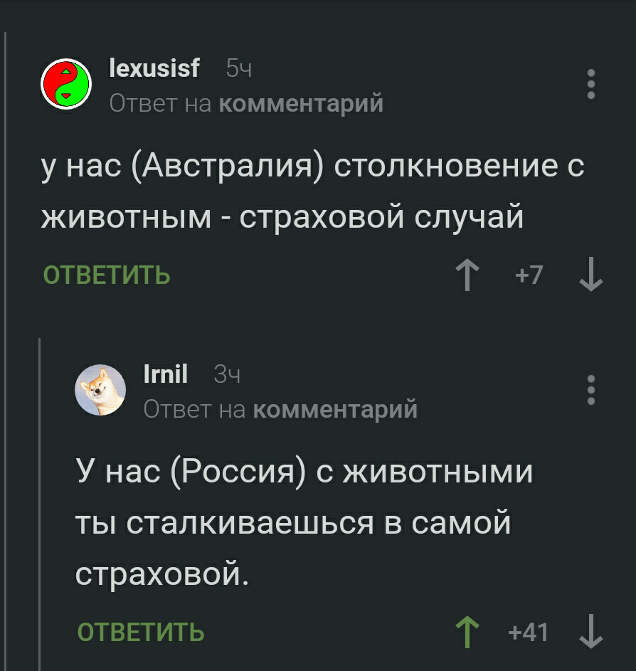 Верное замечание - Комментарии, Комментарии на Пикабу, Юмор, Страховая компания, Австралия