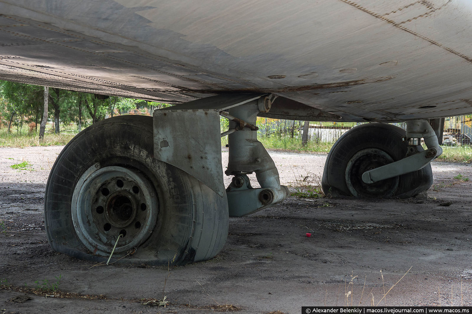 Life after death. - Abandoned, Monument, Uzbekistan, the USSR, Longpost