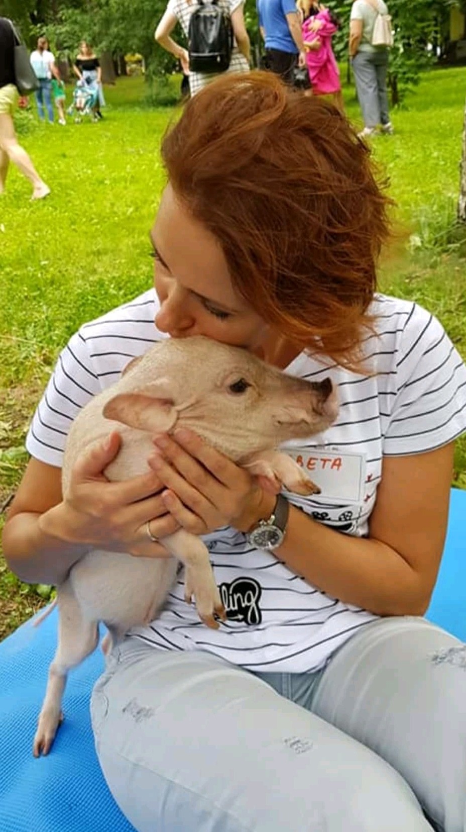 Minipigs Festival 2018 - My, Minipig, , Longpost