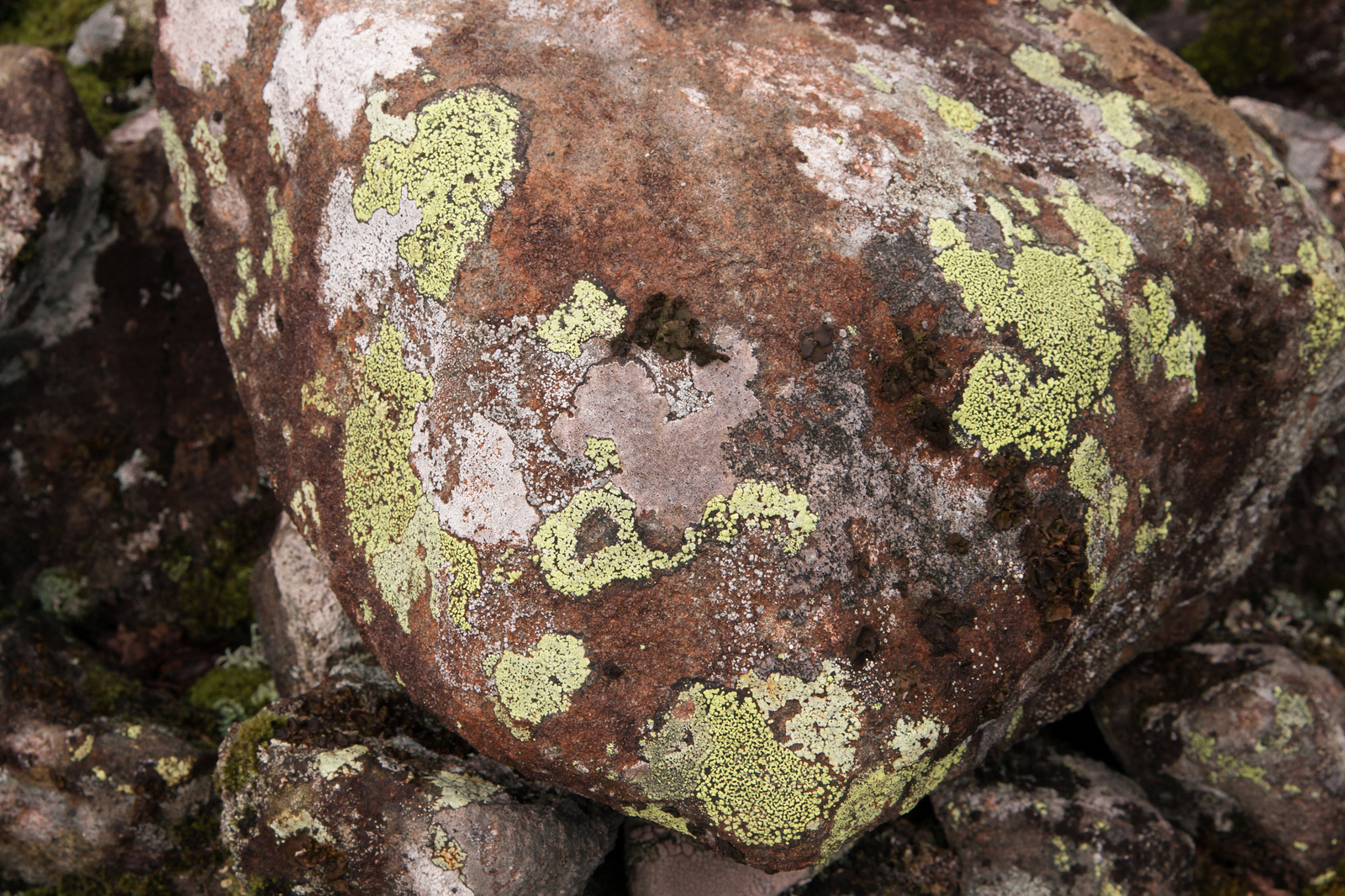 Konzhakovsky Stone - Northern Ural, The mountains, Nature, Konzhakovsky stone, Sverdlovsk region, The photo, Longpost