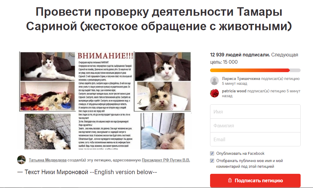 A small update on the scandal around the Voronezh Maine Coon cattery Wariwat - cat, Negative, Maine Coon, Nursery, Video, Longpost