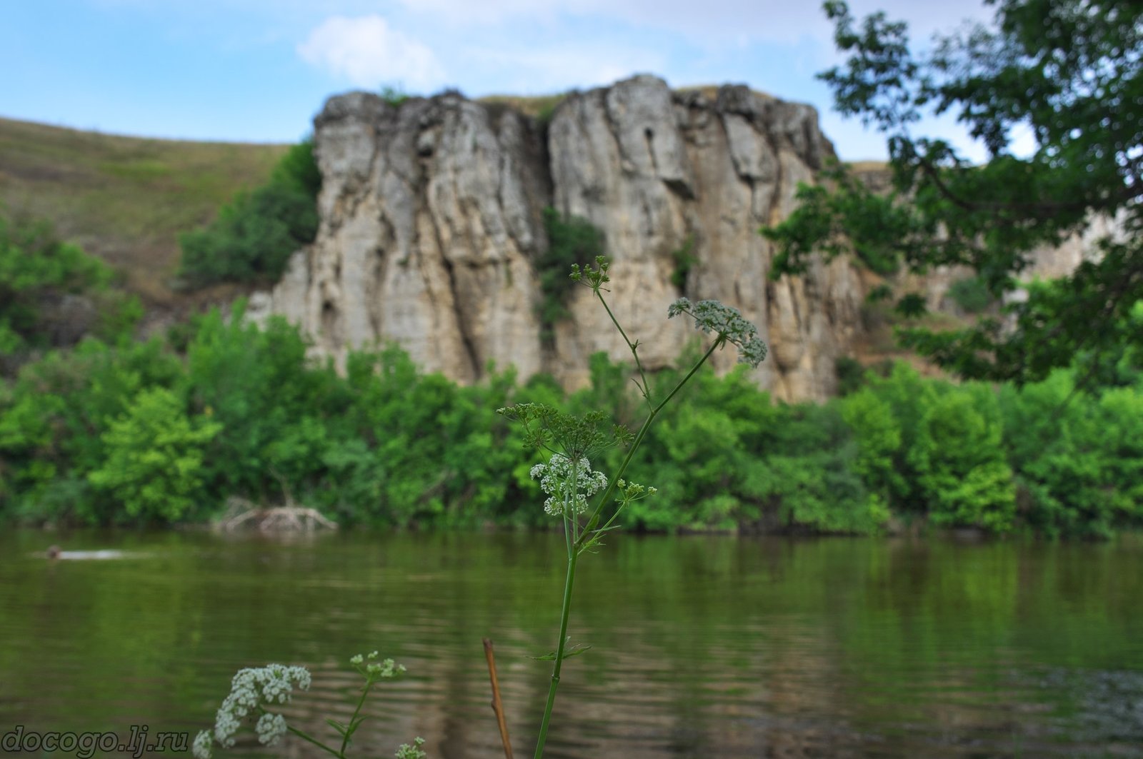 And THIS is between Rostov and Volgograd. Photo facts. - My, Travels, Kamensk-Shakhtinsky, Loga Park, Rostov region, Longpost