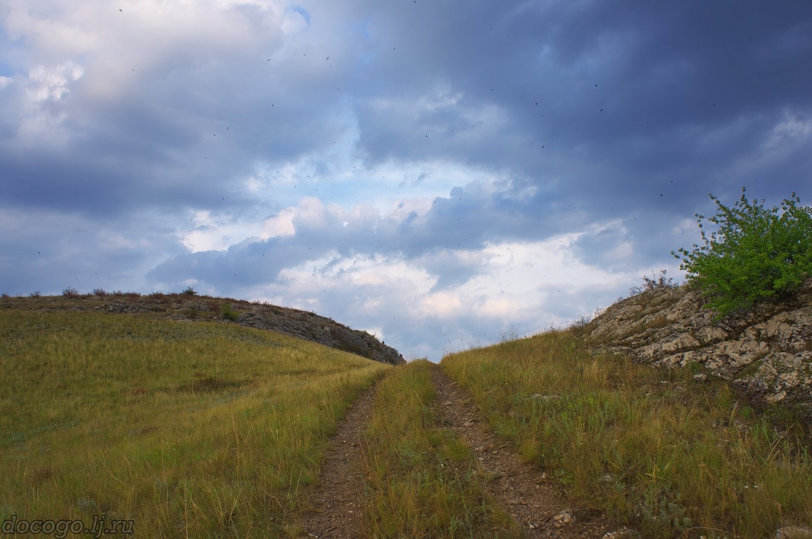 And THIS is between Rostov and Volgograd. Photo facts. - My, Travels, Kamensk-Shakhtinsky, Loga Park, Rostov region, Longpost