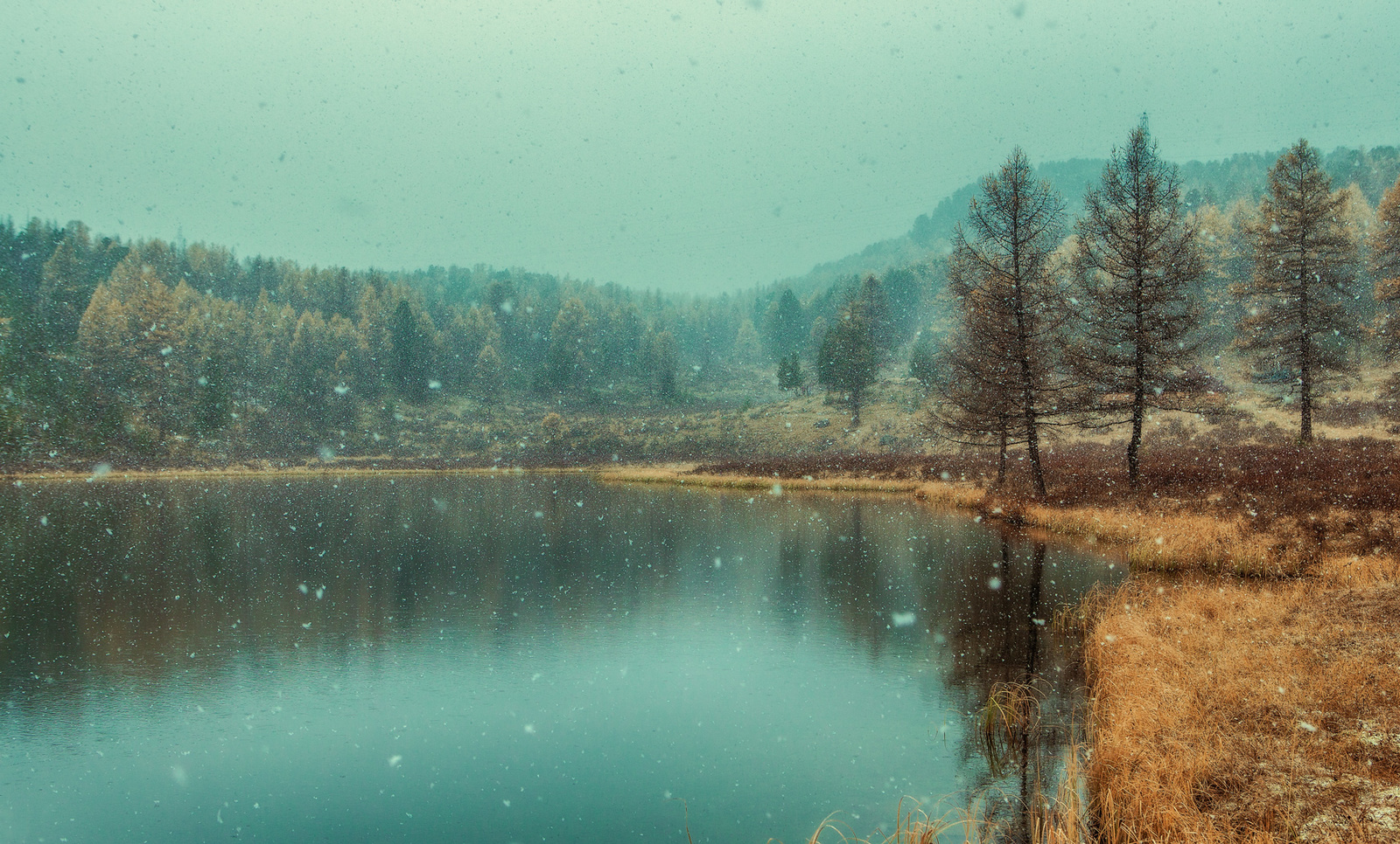 The first snow in the foothills of Altai - , Lake Kidelyu, Altai, Autumn, Snow, Lake, The photo, Altai Republic