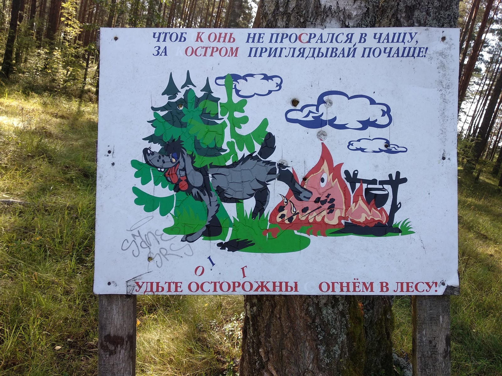 Ничего, необычного. Просто табличка в лесу - Конь в пальто, Чаща, Огонь