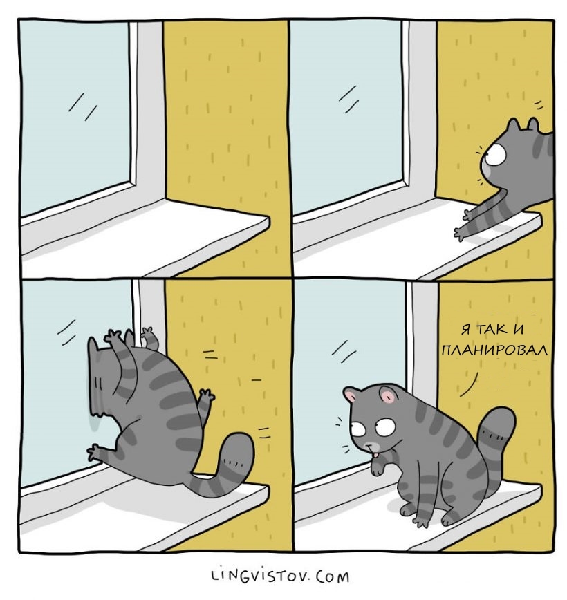 Typical life with a cat part 2 - cat, Comics, Milota, Vital, Translated by myself, Longpost