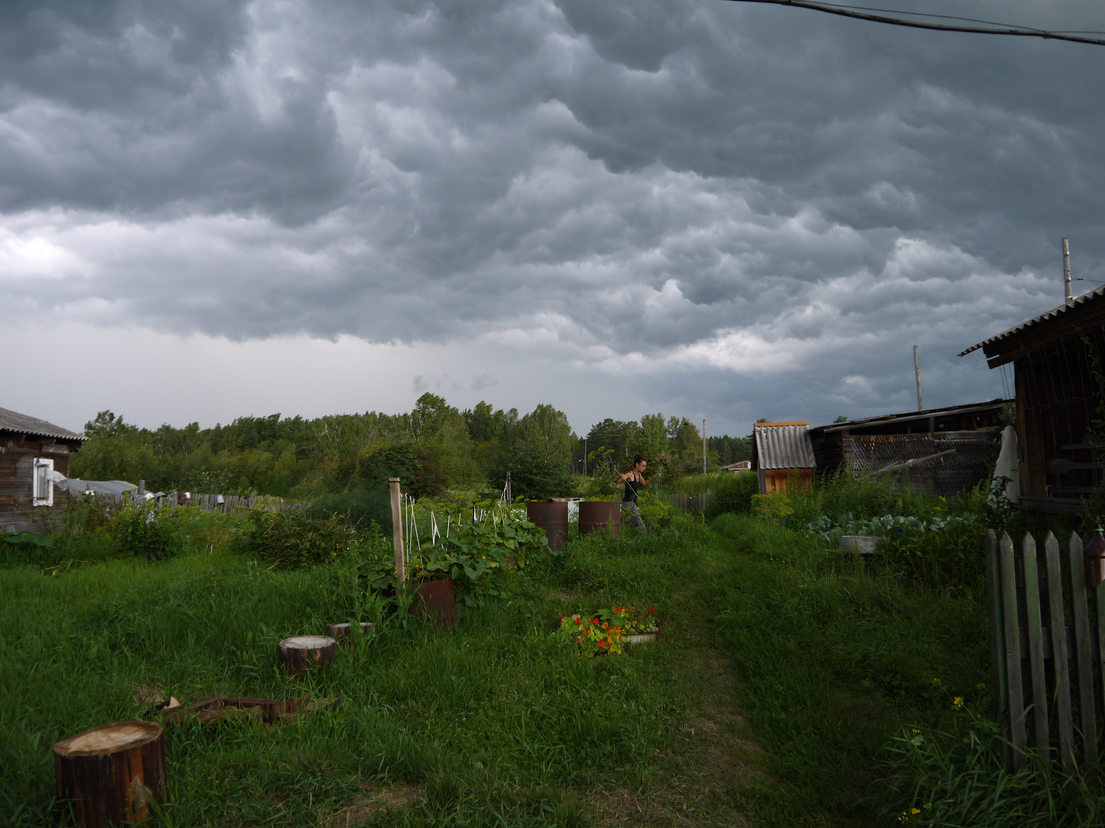 The storm is coming soon! - The photo, Dacha, Garden, Sky, The clouds