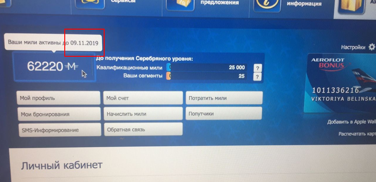 How I wanted to buy air miles V2 - My, Fraud, Do not steal a crook, Airline miles, Longpost, Screenshot