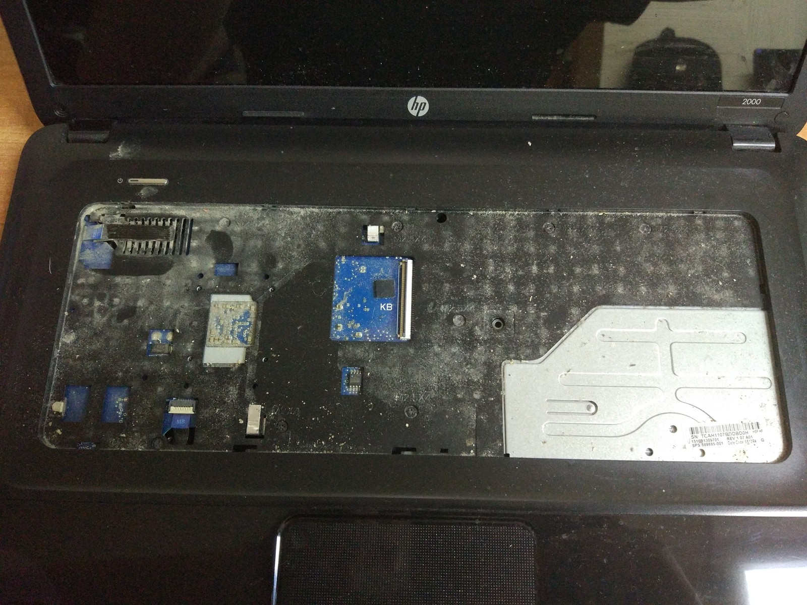 Why do laptops hum - Repair of equipment, Laptop Repair, Dust, Longpost