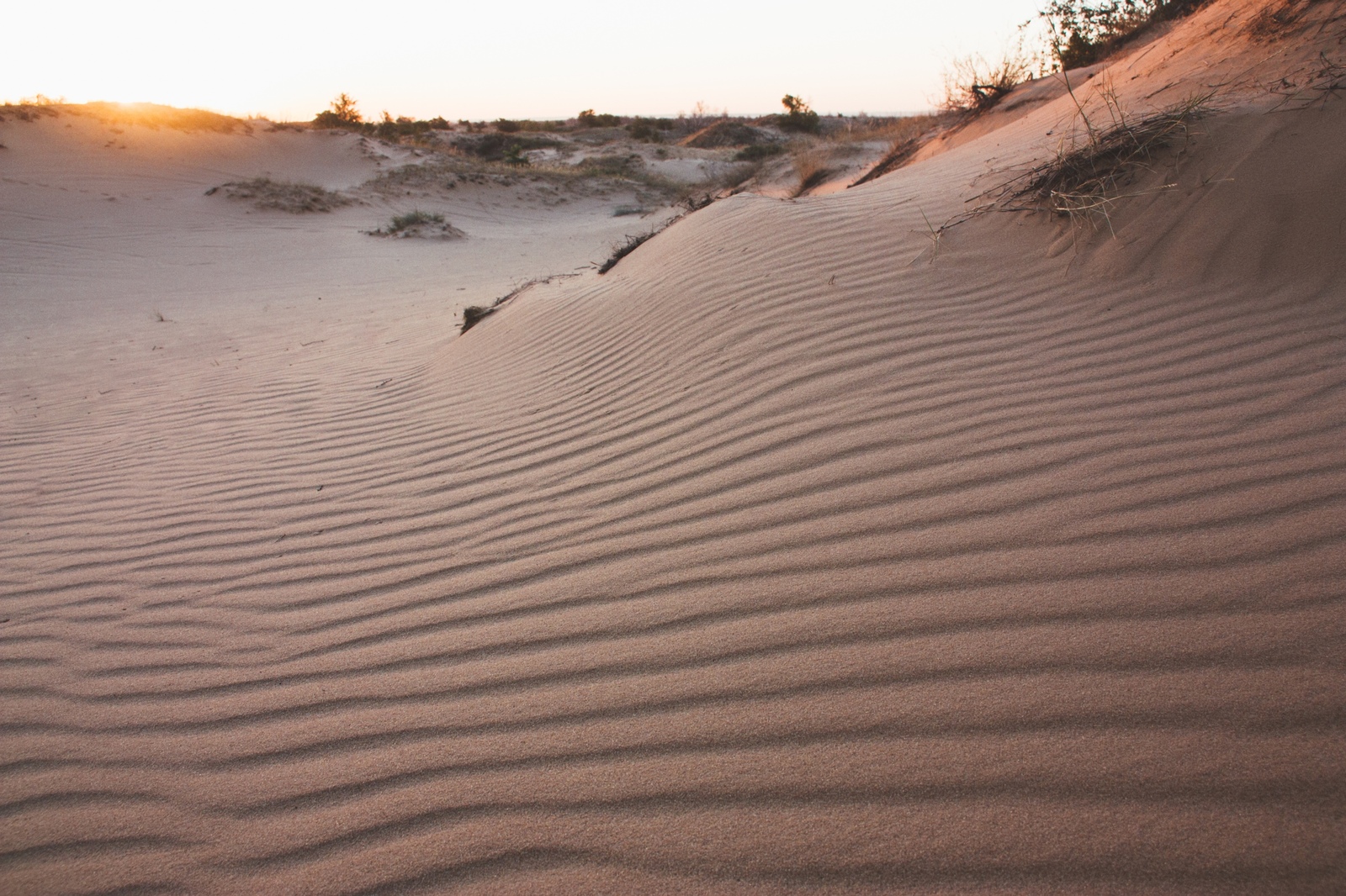 Desert of the Rostov region - My, My, Desert, Nature, Landscape, Photographer, Longpost