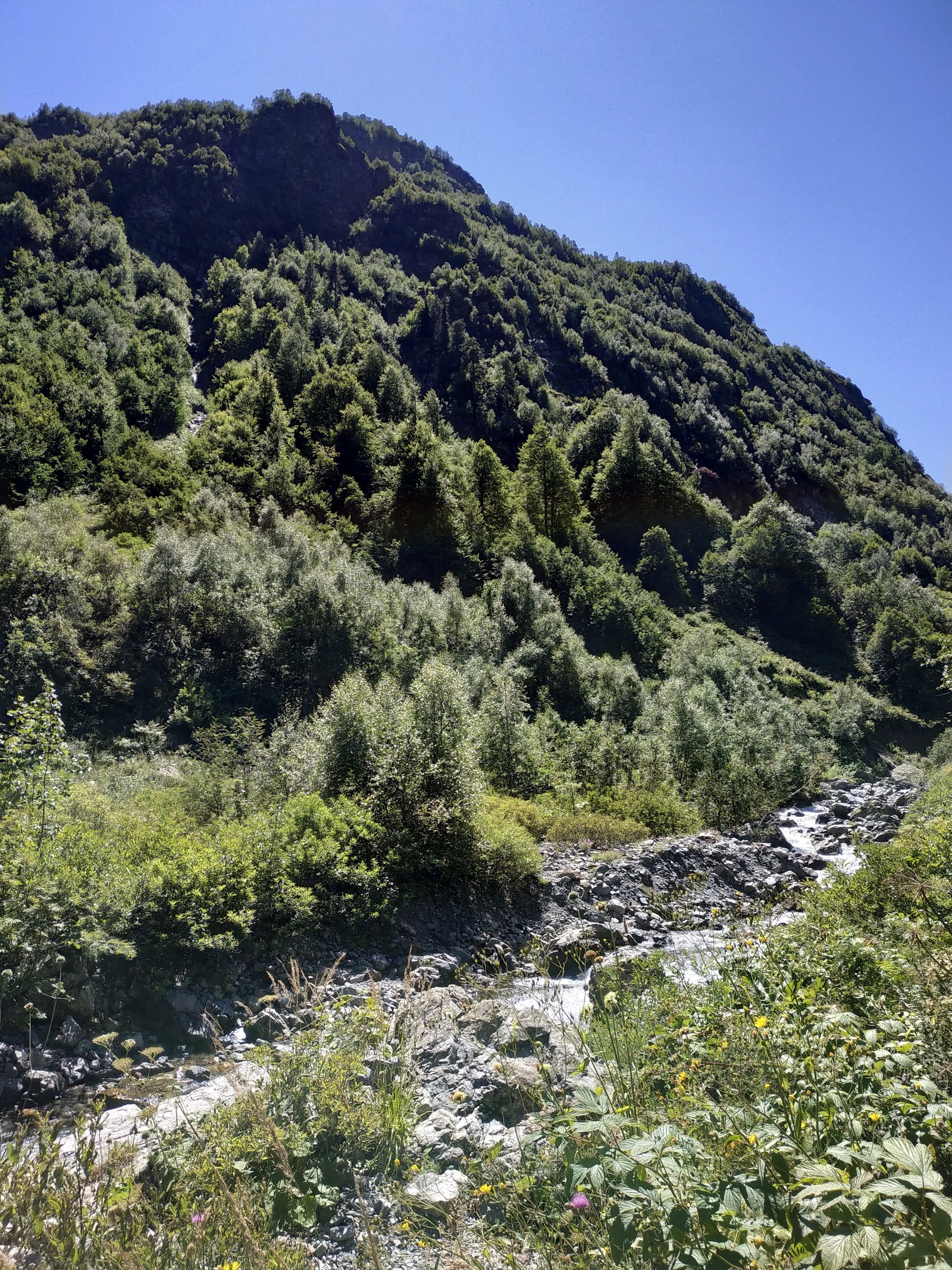 Mountains, North Caucasus, Rozhkao - My, , The mountains, Nature, Karachay-Cherkessia, Tourism, , Longpost