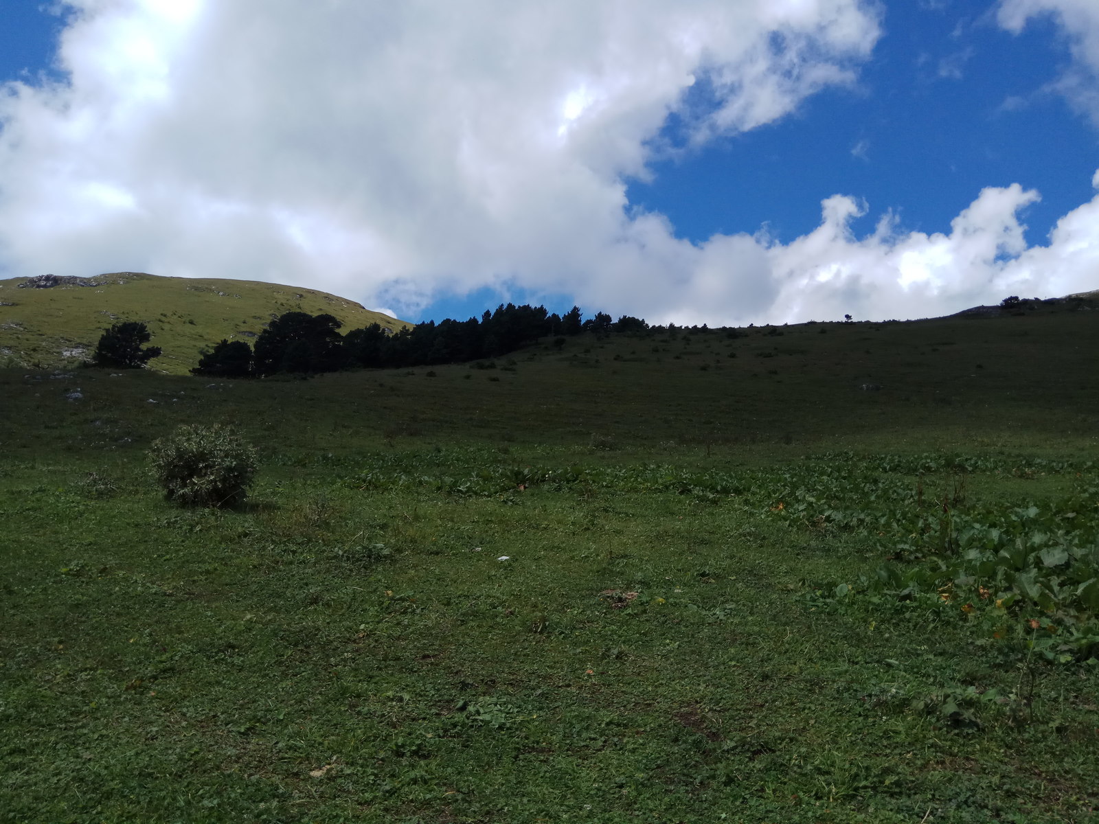 Mountains, North Caucasus, Rozhkao - My, , The mountains, Nature, Karachay-Cherkessia, Tourism, , Longpost