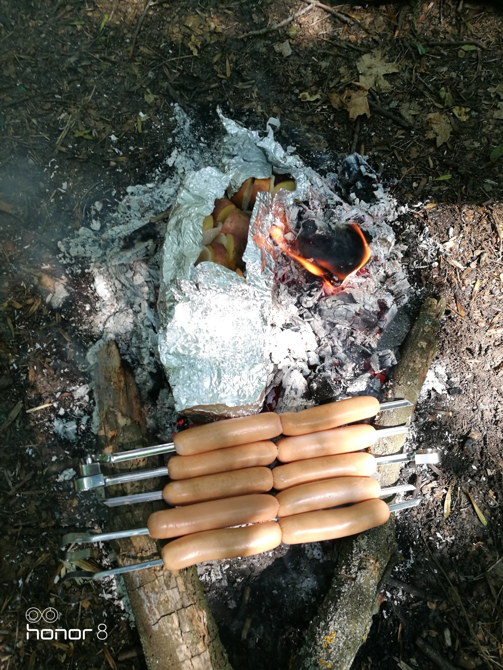 Our bike trip to Alekseevsky forest or summer on a bike.... - My, Bonfire, Bike trip, A bike, Friend, Forest, Food, Longpost