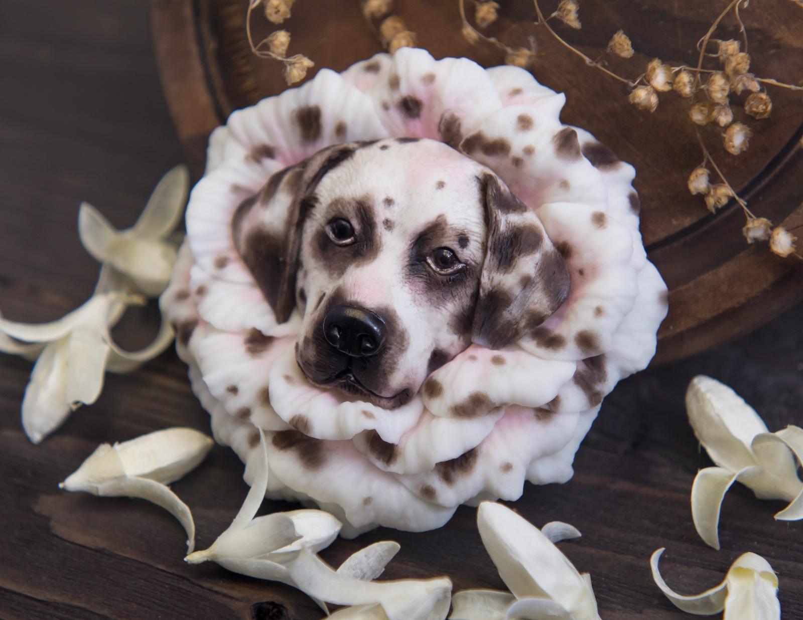 dog flowers - My, Needlework without process, Needlework, Polymer clay, Dog, Flowers, the Rose, St. Bernard, Bull terrier, Longpost