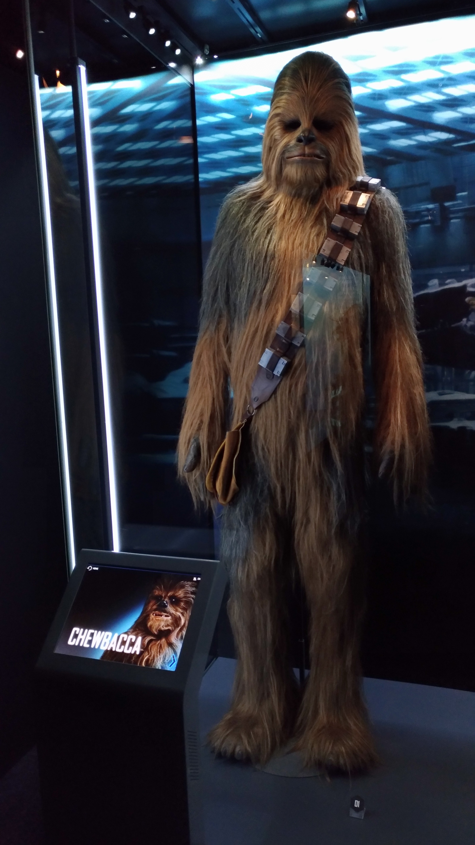 Star Wars - My, Star Wars, Exhibition, Costume, Longpost