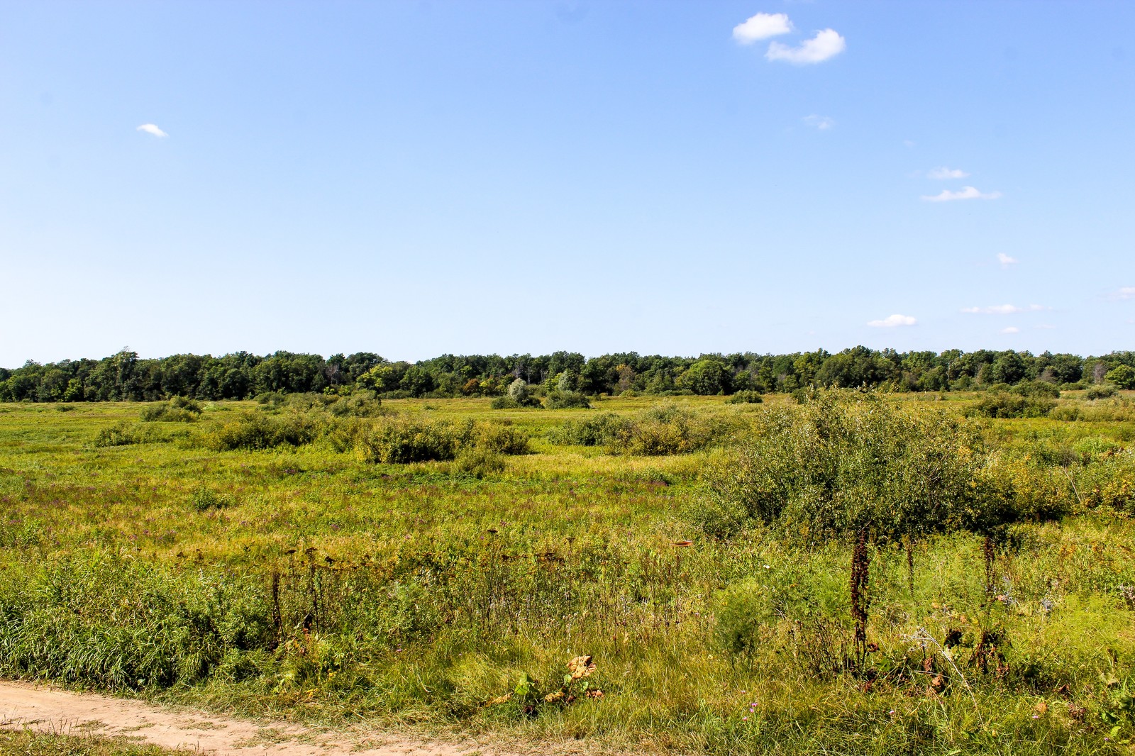 Bike ride - My, Longpost, Nature, The photo, Dzerzhinsk, Canon 1300d, Bike ride