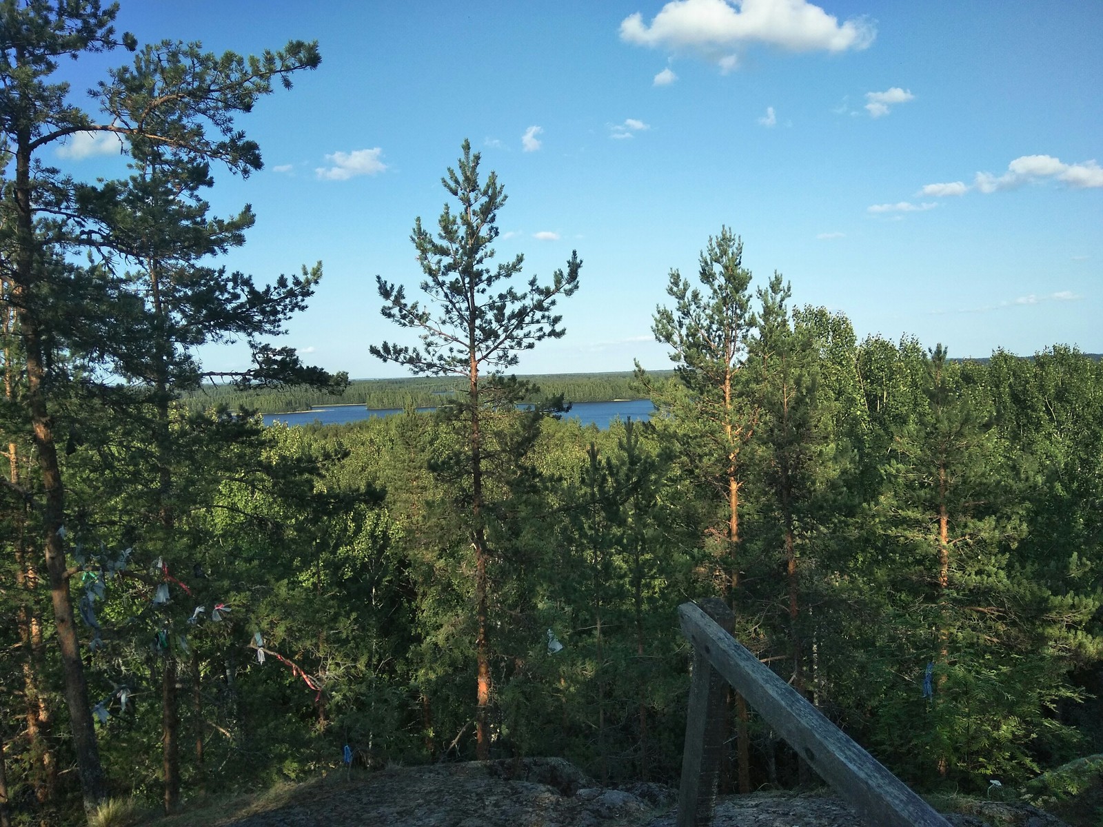 In the forests of Karelia - My, Forest, Vipers, Sculpture, , Longpost