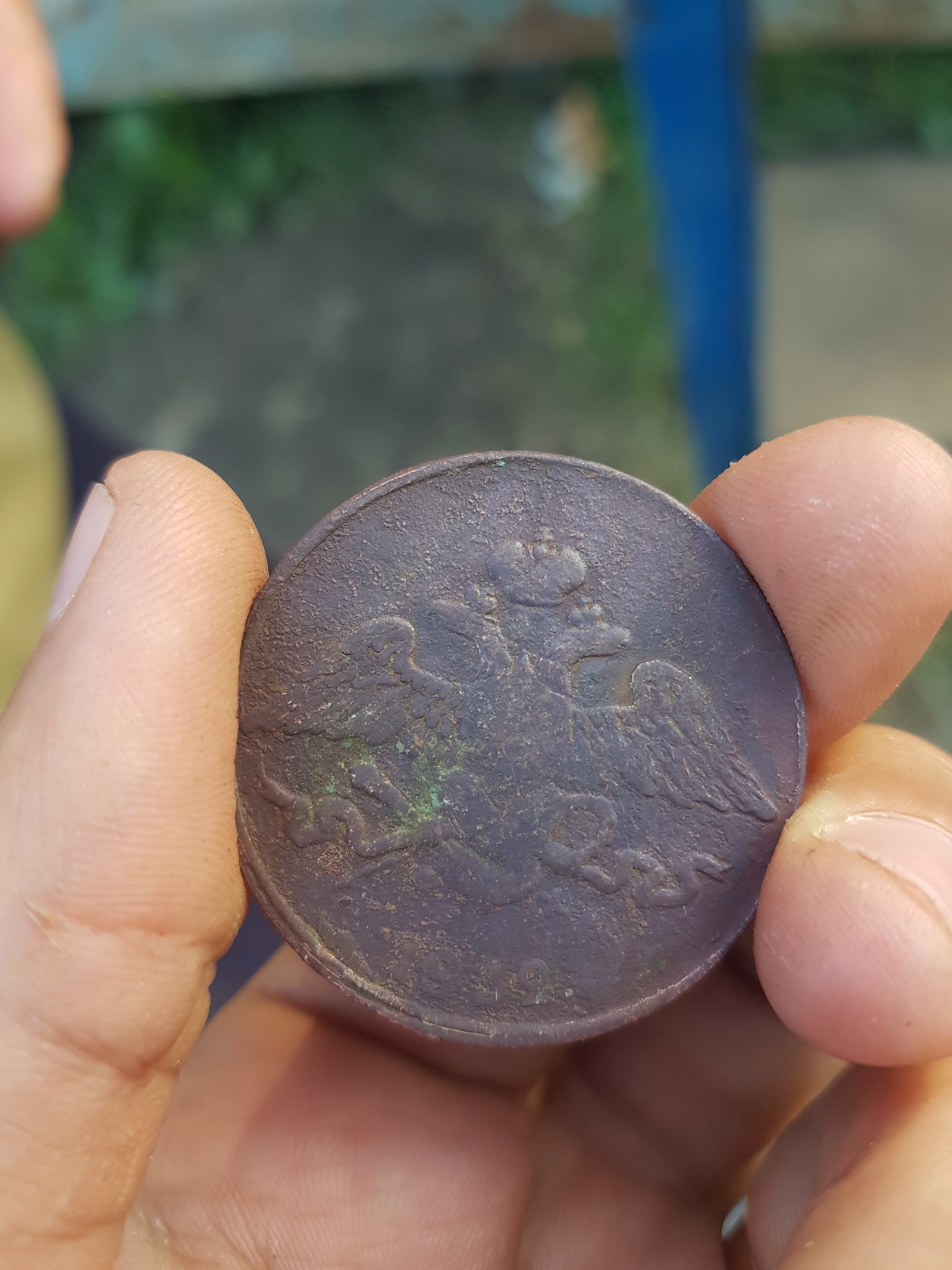 Forest, shovel, coins and all sorts of rubbish (help needed) - My, Longpost, Ancient coins, Black diggers, Forest, Smolensk region