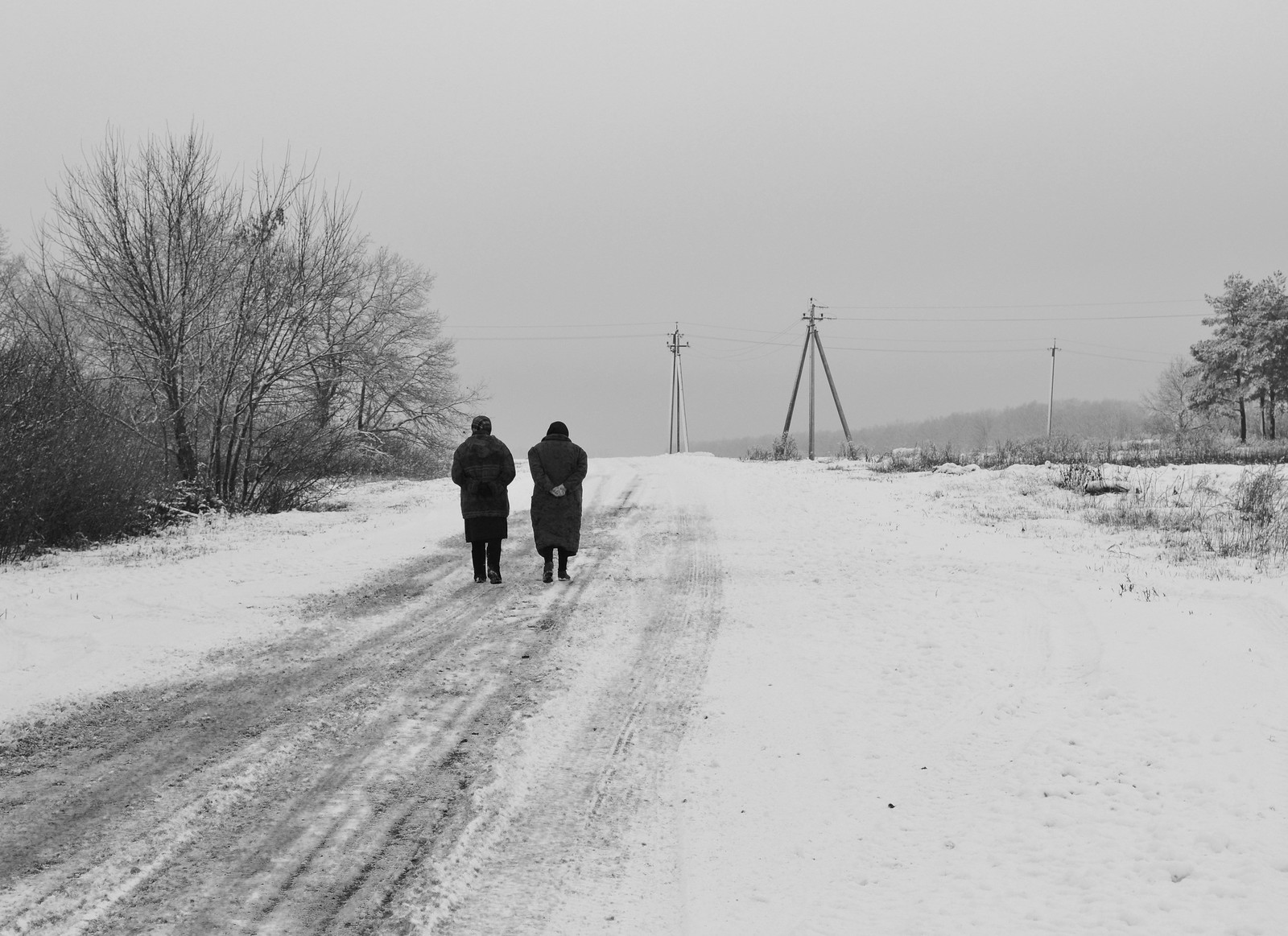 Path - My, Landscape, Road, Winter, Summer, Longpost