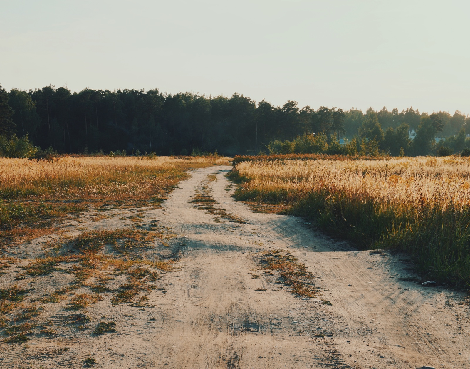 Goodbye summer. - My, Forest, Nature, August, beauty, Road, Longpost