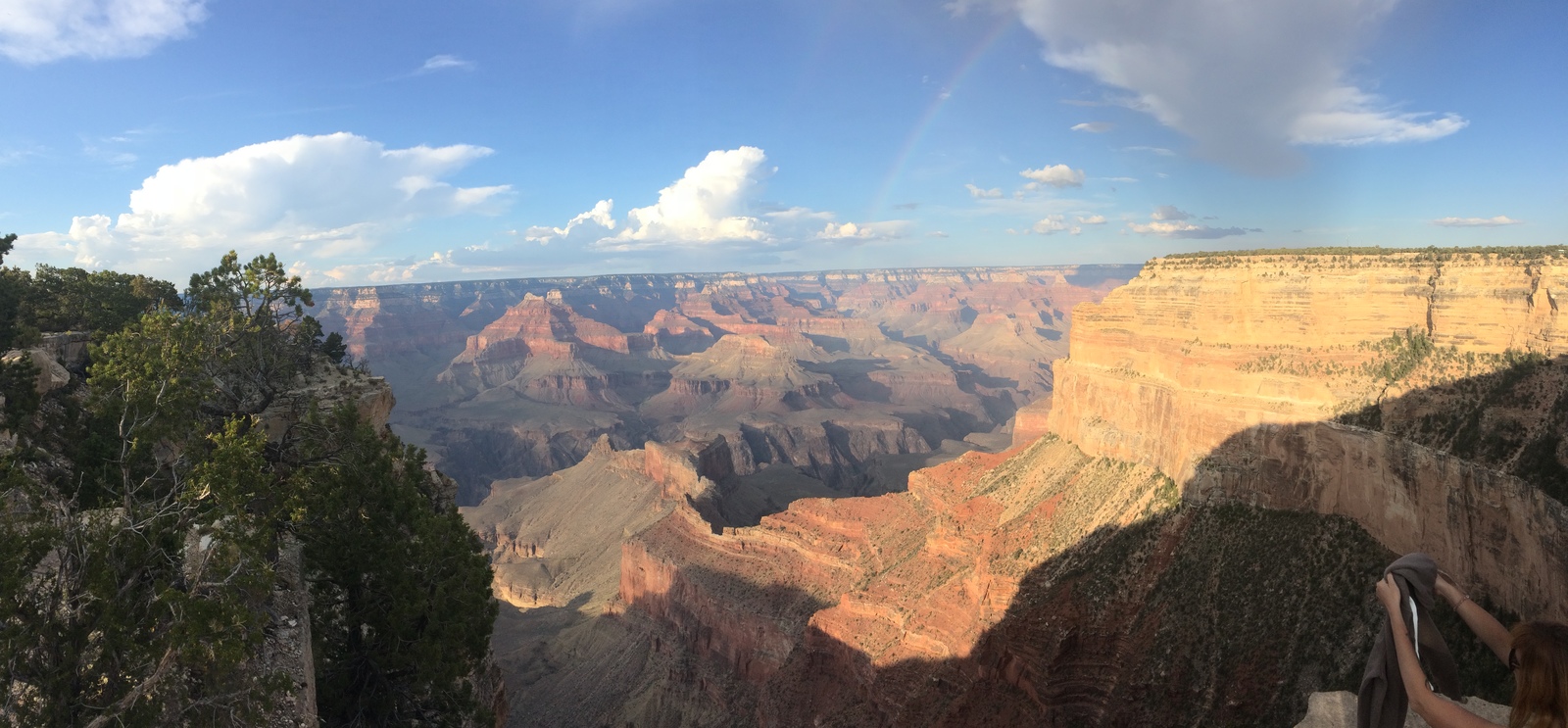 Travel across the USA. - My, Travels, USA travel, Longpost, West Coast, Work and Travel, Tourism, Grand Canyon, Video, USA