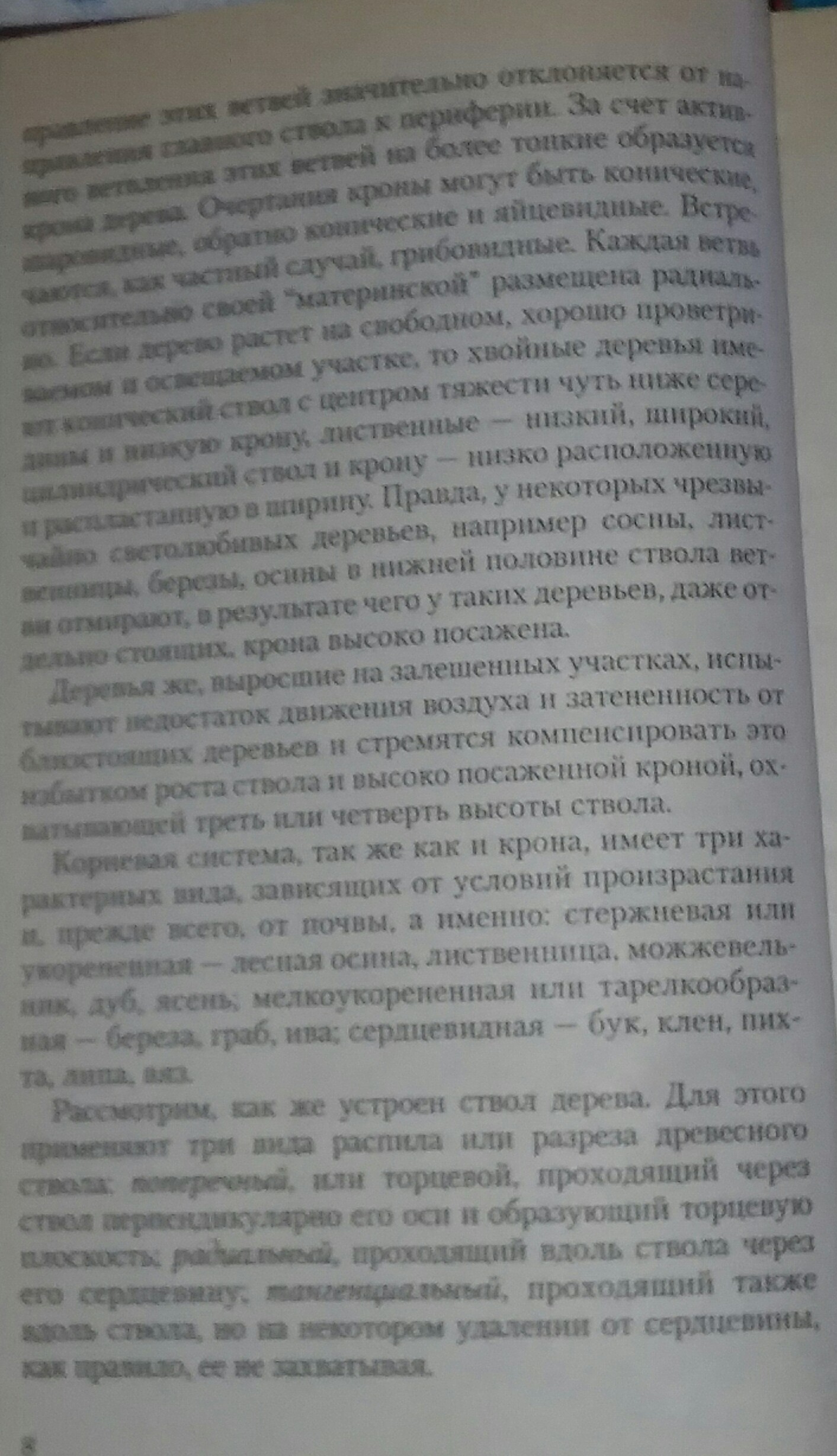 Резьба по дереву для начинающих.Часть книги В.В.Новикова 