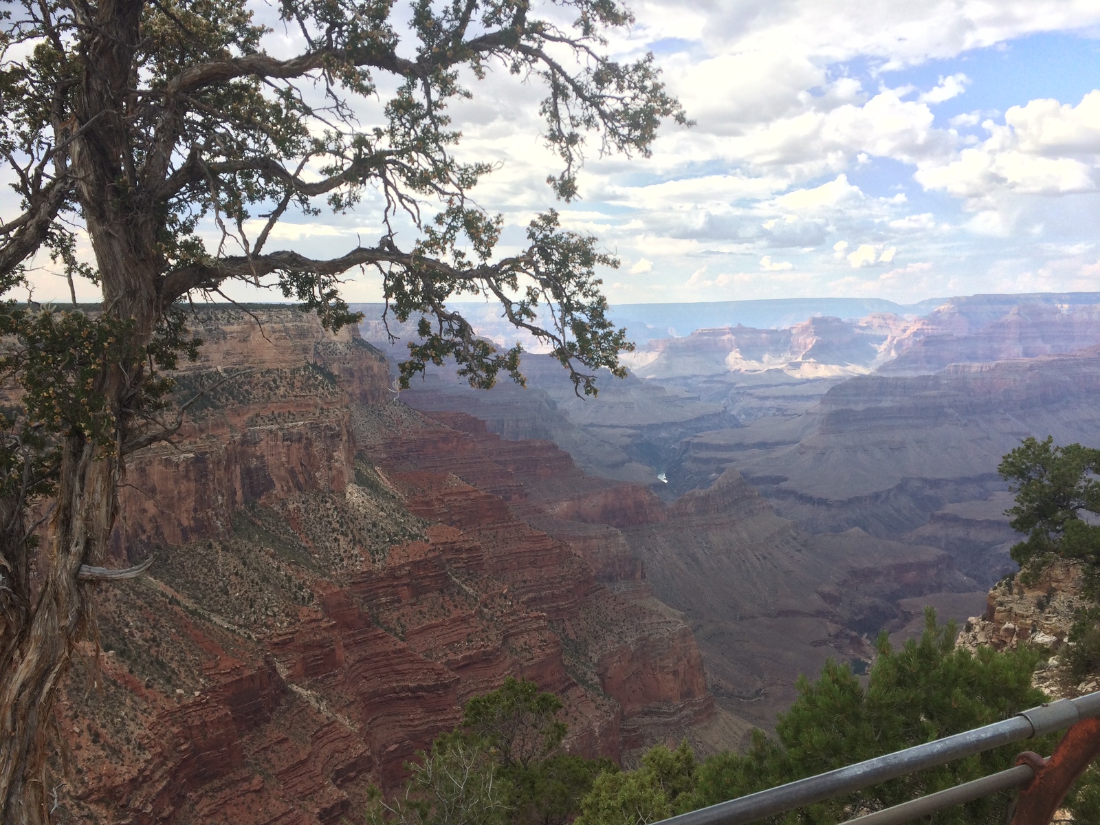 Travel across the USA. - My, Travels, USA travel, Longpost, West Coast, Work and Travel, Tourism, Grand Canyon, Video, USA