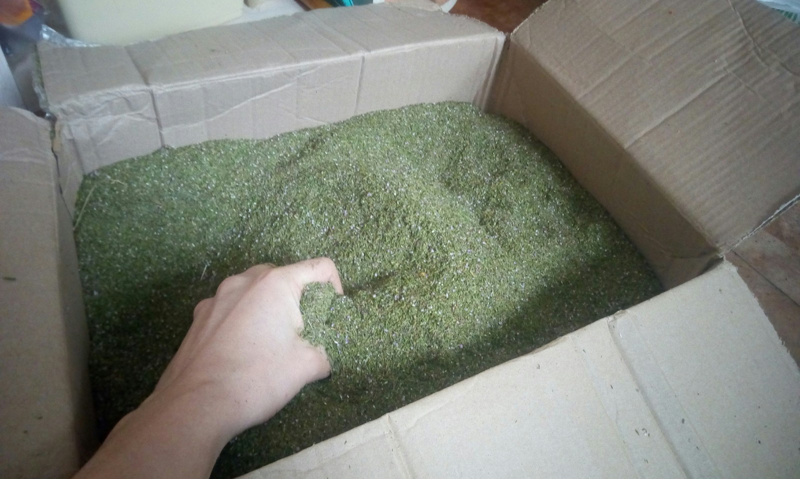 Suspicious but very beautiful filling of the box) - My, Package, Box, Moss