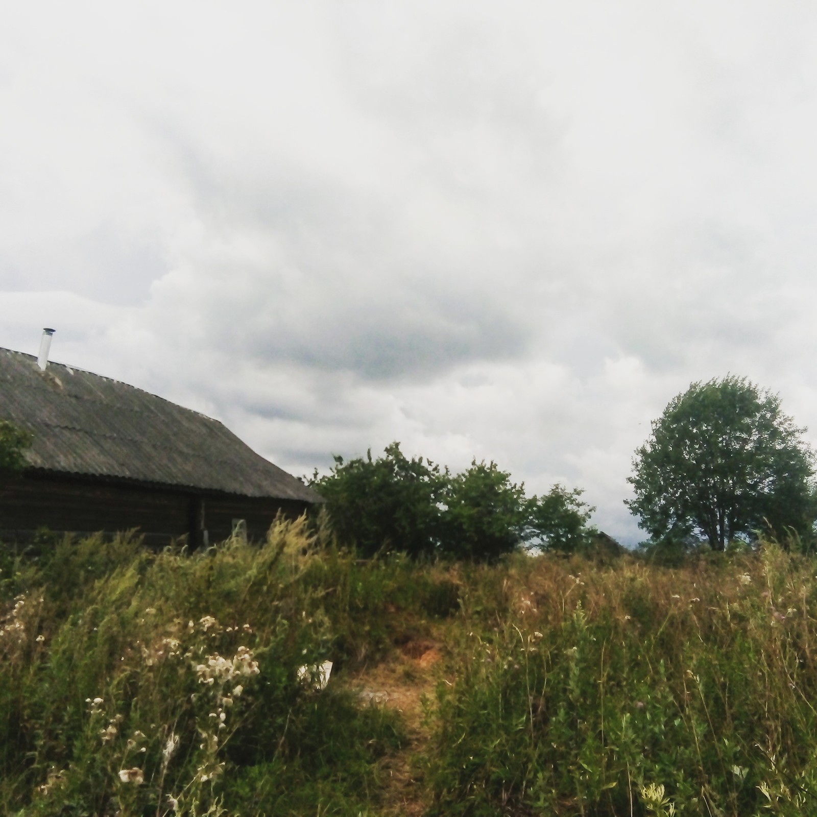 Summer in the countryside - Summer, Village, Russia, Childhood, Nostalgia, It was, Holidays, The sun, Longpost